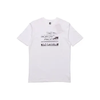 Supreme The North Face Metallic Logo T Shirt