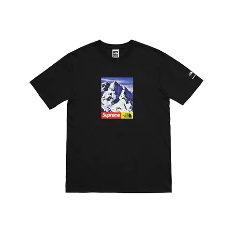Supreme The North Face Mountain Tee