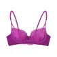 Rose Purple