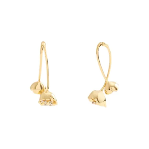 COACH Brass Plated, Glass, Cubic Zircon, Titanium Earrings Women's Gold