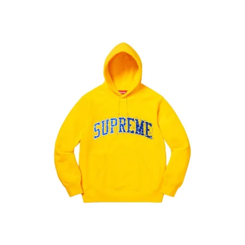 Supreme Water Arc Hooded Sweatshirt