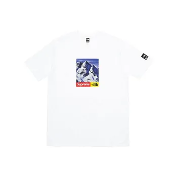 Supreme The North Face Mountain Tee