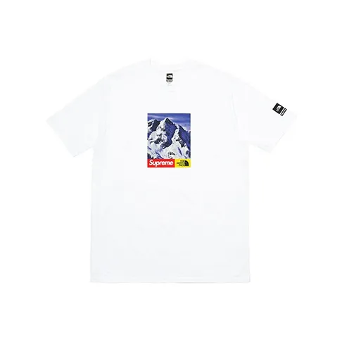 Supreme The North Face Mountain Tee