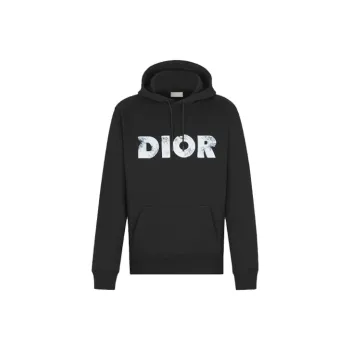 DIOR Arsham Logo Hoodie