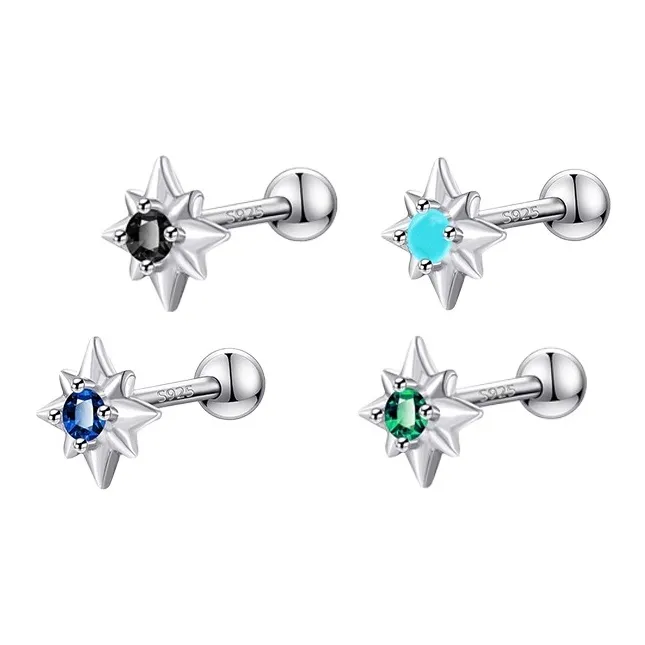 Danqin Silver Plated Stud Earrings Unisex-3