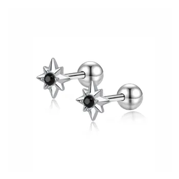 Danqin Silver Plated Stud Earrings Unisex