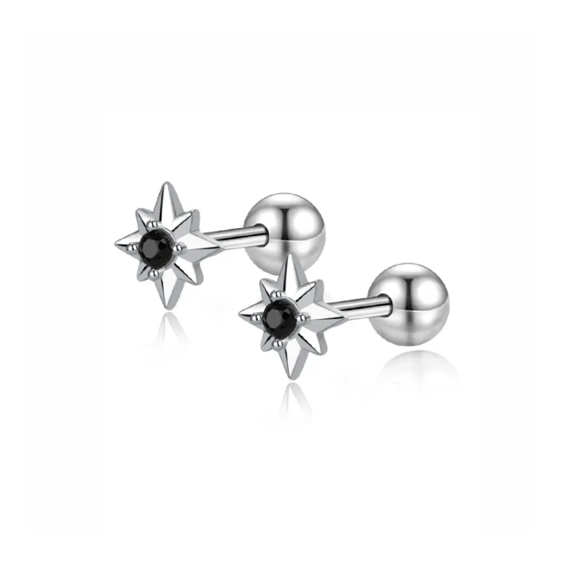 Danqin Silver Plated Stud Earrings Unisex-0