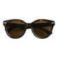 Tortoiseshell