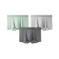 Platinum Gray+Light Mist Gray+Mint Green