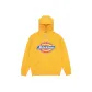 Earth Yellow