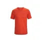 Dynasty Red