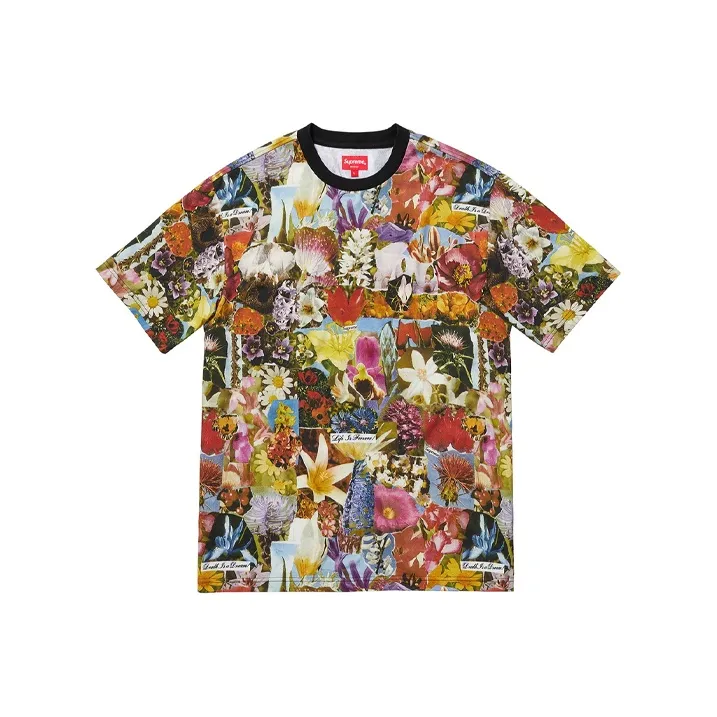 Supreme Dream S/S Top-0