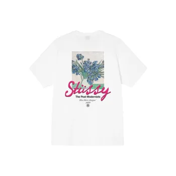 Stussy Post Modernist T Shirt