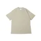 Light Green Gray