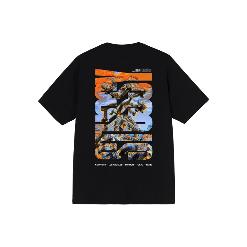 Stussy Desert Sky Tee-2