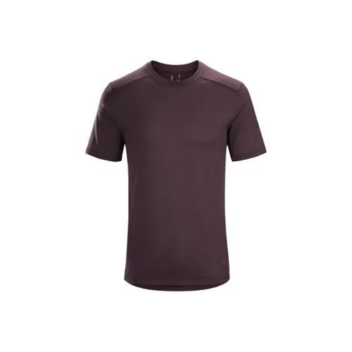 Arcteryx Ionia Merino Wool Series T Shirts Men