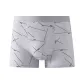 Light Gray (1-1)