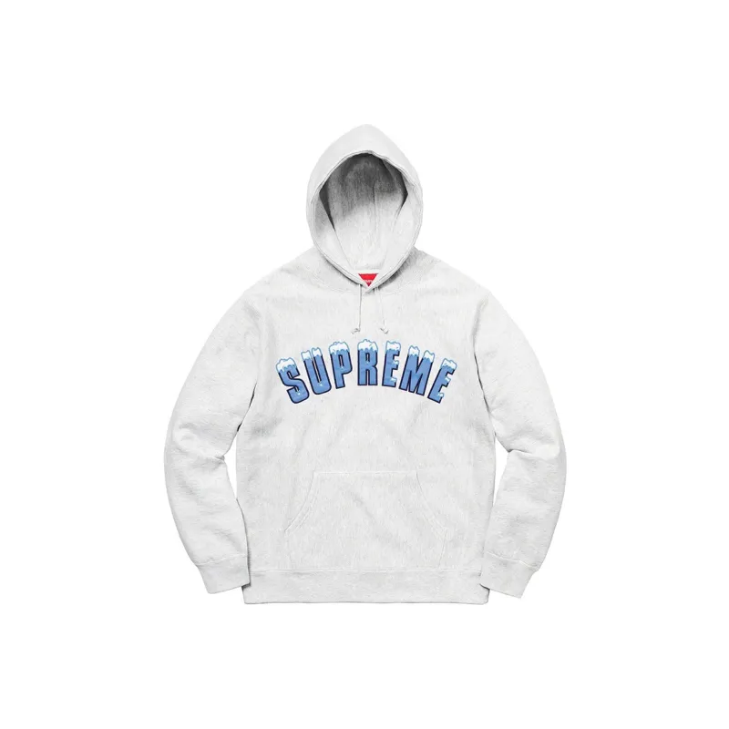 Supreme Icy Arc Hooded Sweatshirt-5