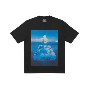 PALACE Berg Ferg T shirt