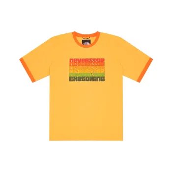 THE NORTH FACE T Shirts Women's Orange