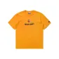 Bright Orange
