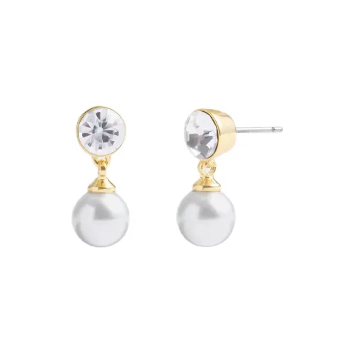 COACH Glass Brass Plated Cubic Zircon Earrings Women's Silver