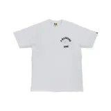 White Gray