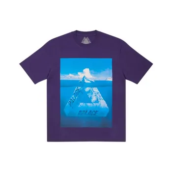 PALACE Berg Ferg T shirt