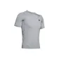 Modern Gray