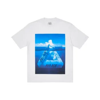 PALACE Berg Ferg T shirt