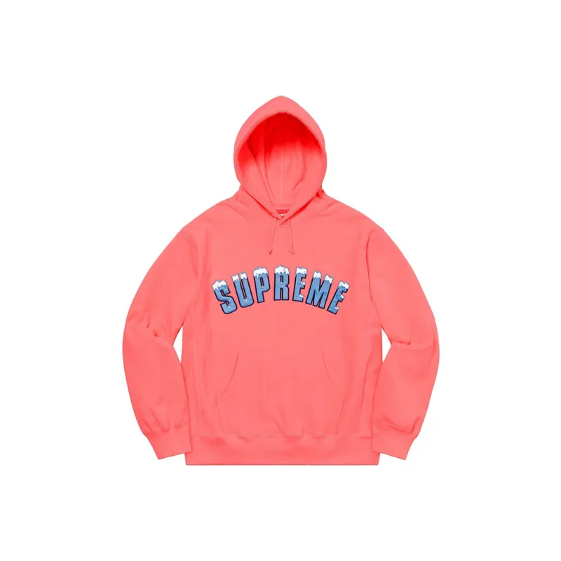 Supreme Icy Arc Hooded Sweatshirt-1