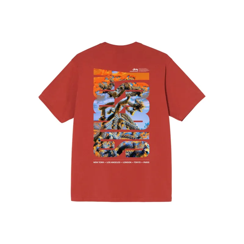 Stussy Desert Sky Tee-4