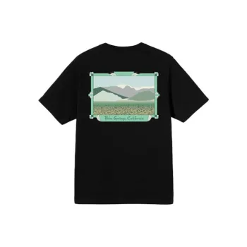 Stussy Palm Springs Tee