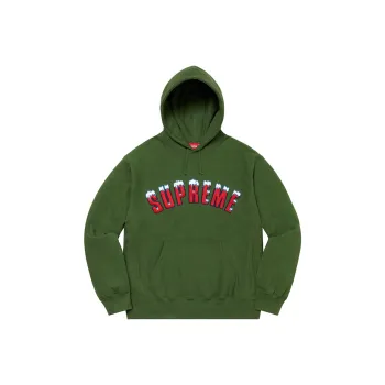Supreme Icy Arc Hooded Sweatshirt