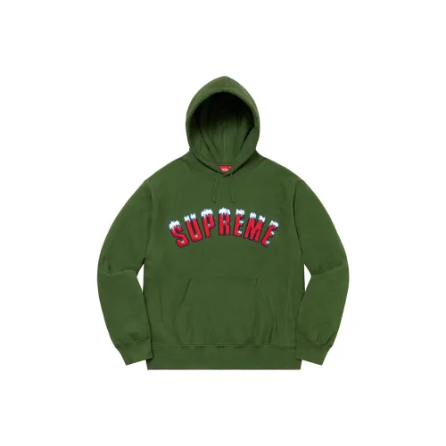 Supreme Icy Arc Hooded Sweatshirt