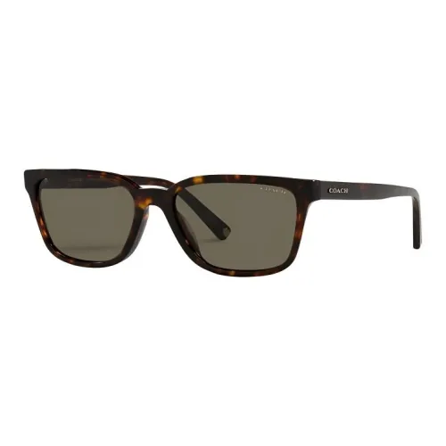 COACH Square Sunglasses Men's Tortoiseshell