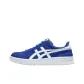 Blue/White