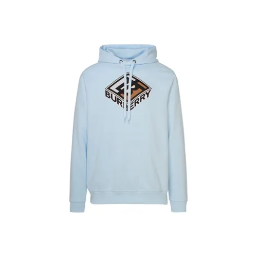 Burberry Sweatshirts Men Blue