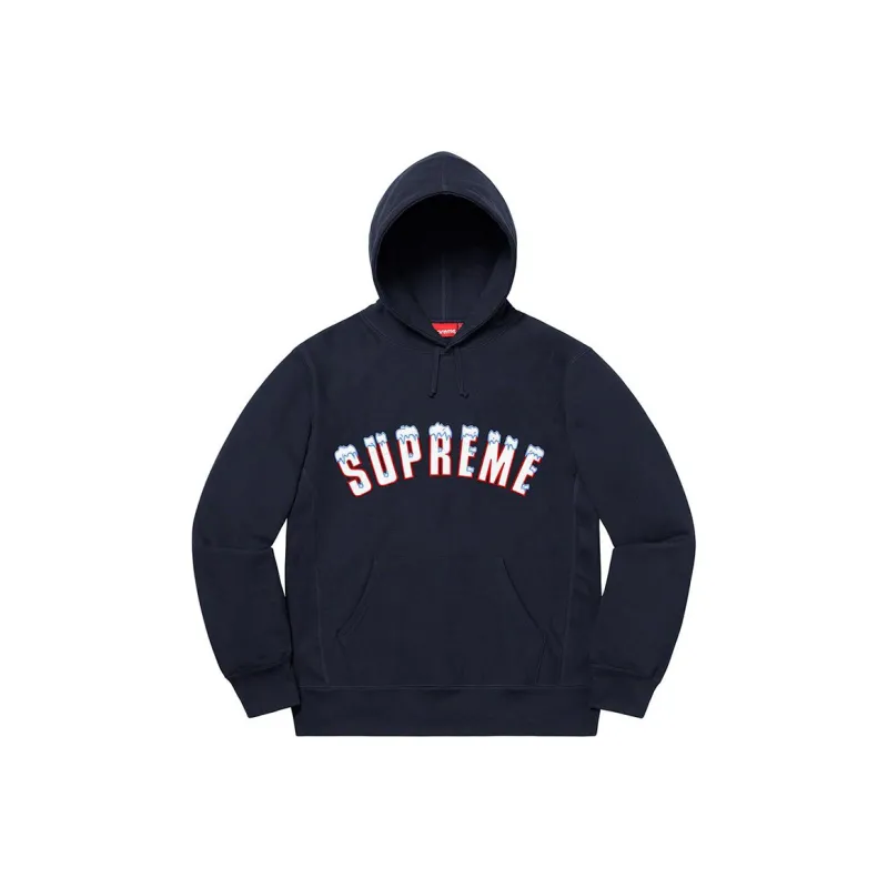 Supreme Icy Arc Hooded Sweatshirt-4