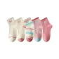 [3 Pack][100% cotton Boneless Anti-Pilling]3 Pack Color