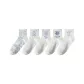 Color 5 Pack