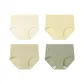 White Tea+Matcha+Green Tea+Qingmo (4 Pack)