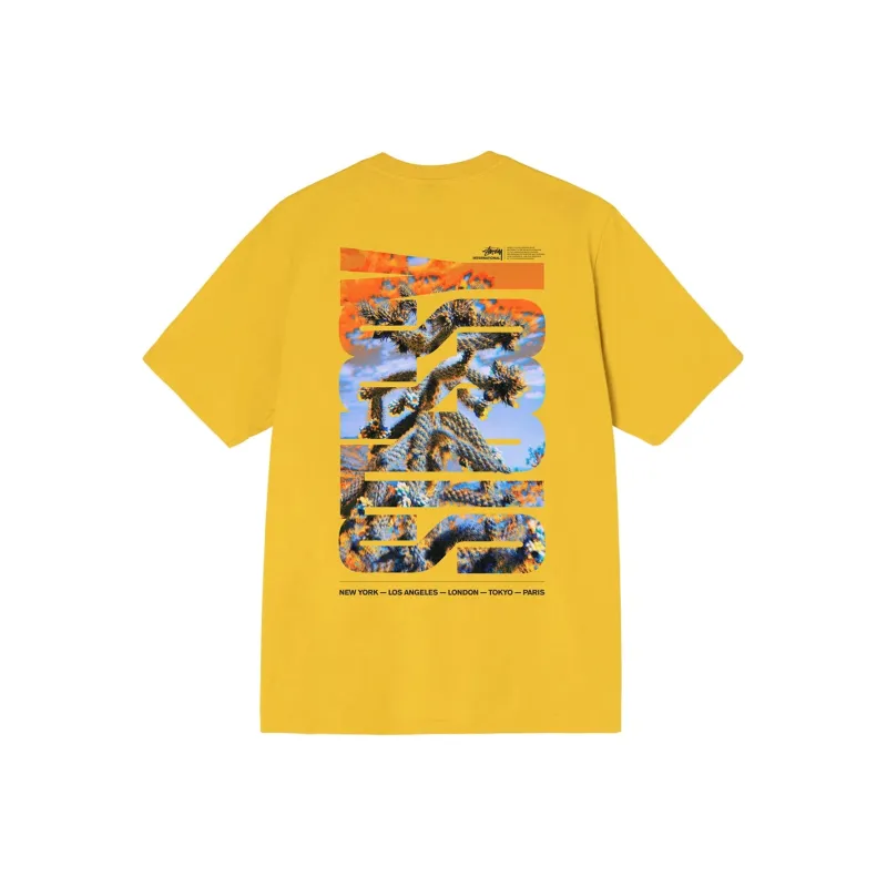 Stussy Desert Sky Tee-6