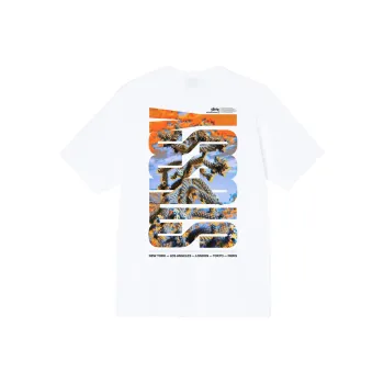 Stussy Desert Sky Tee