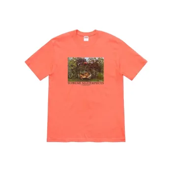 Supreme Masterpieces Tee