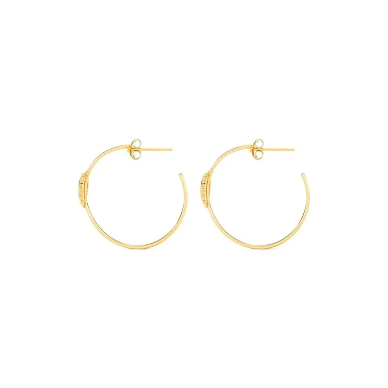 Radiant Stainless Steel Earrings Women's Gold-1