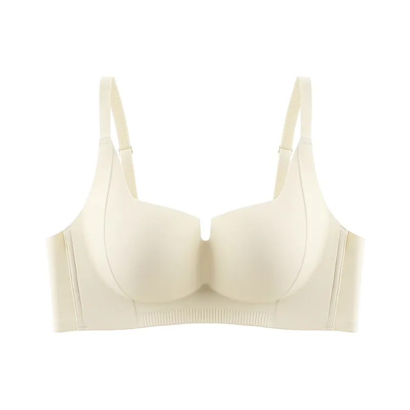 Lanza Women's Bras-0
