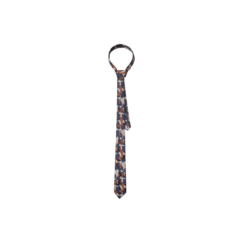 BAIJUAN Ties Men-4