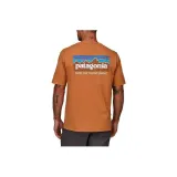 Brown/FEBN