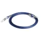 Dark Blue Two